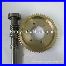 Worm gear and shaft